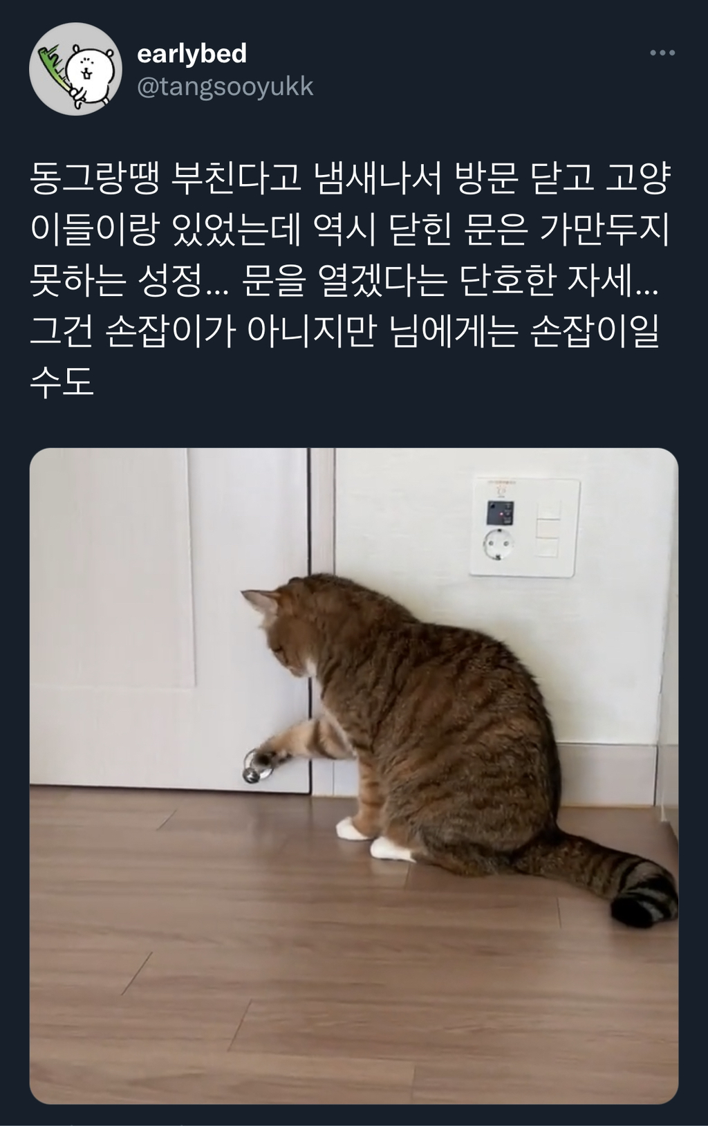 동그랑땡 부친다고 냄새나서 방문 닫고 고양이들이랑 있었는데.twt | 인스티즈