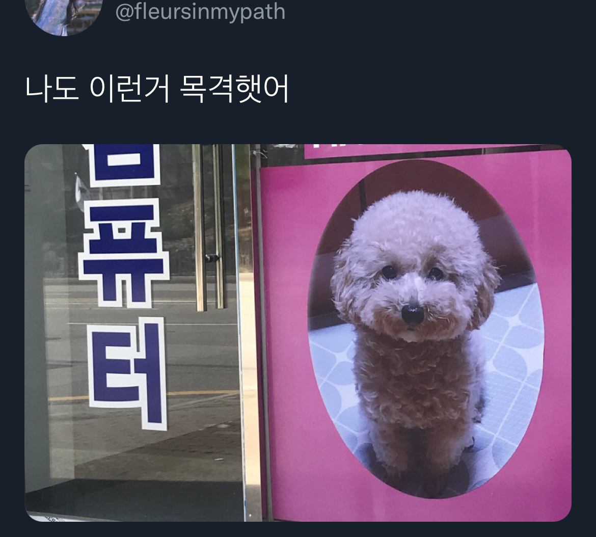 맥락 없이 다짜고짜 하는 개자랑을 좋아하는 편.twt | 인스티즈