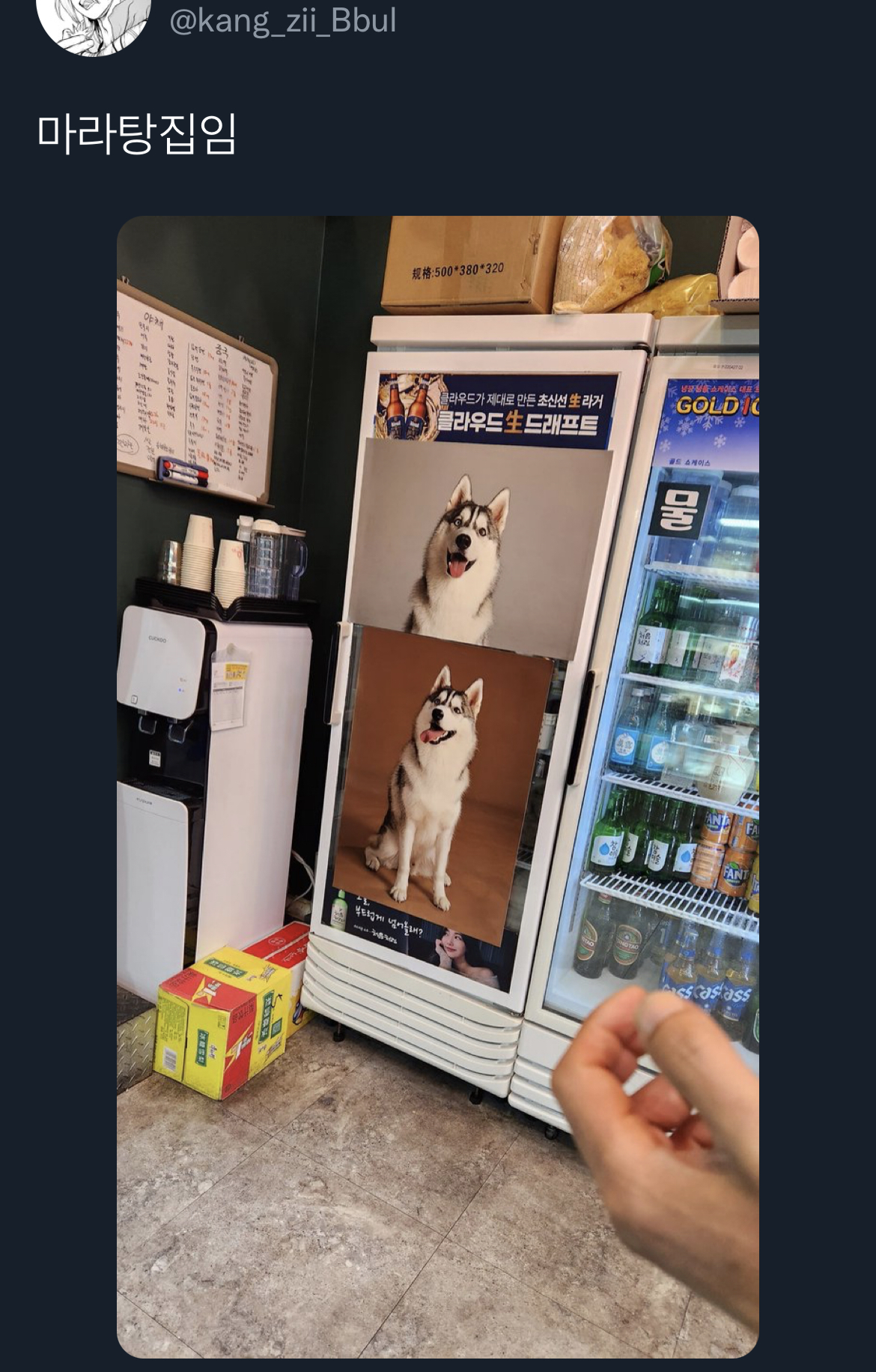 맥락 없이 다짜고짜 하는 개자랑을 좋아하는 편.twt | 인스티즈