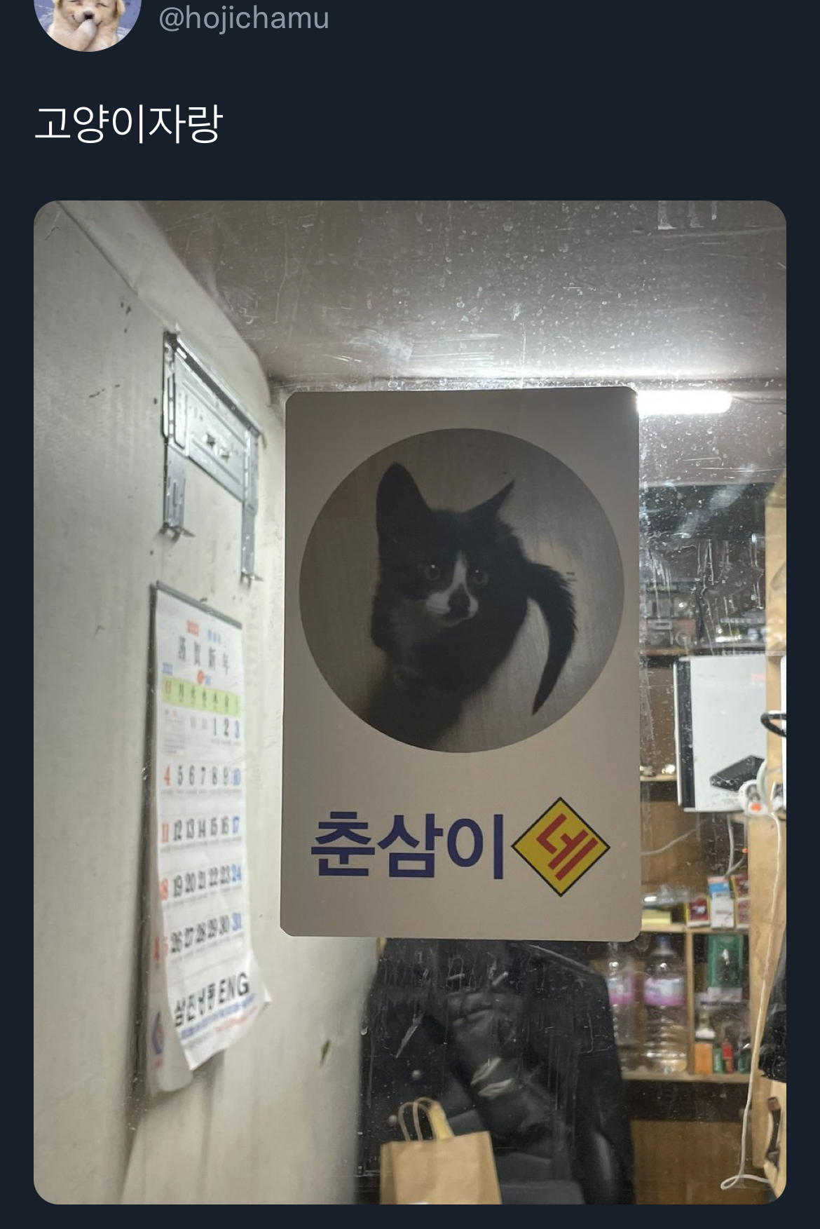 맥락 없이 다짜고짜 하는 개자랑을 좋아하는 편.twt | 인스티즈