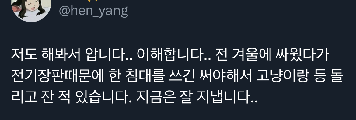 어떻게 건장한 성인여자가 고양이랑 진심으로 싸울 수 있냐 | 인스티즈