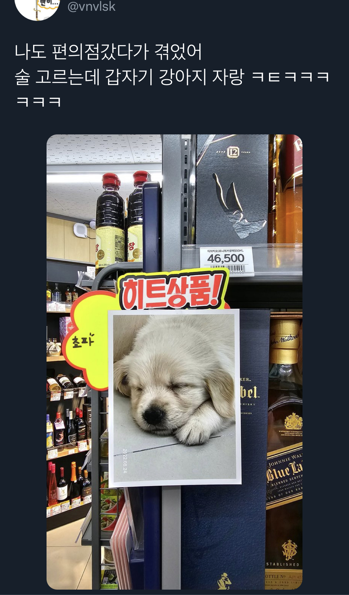 맥락 없이 다짜고짜 하는 개자랑을 좋아하는 편.twt | 인스티즈