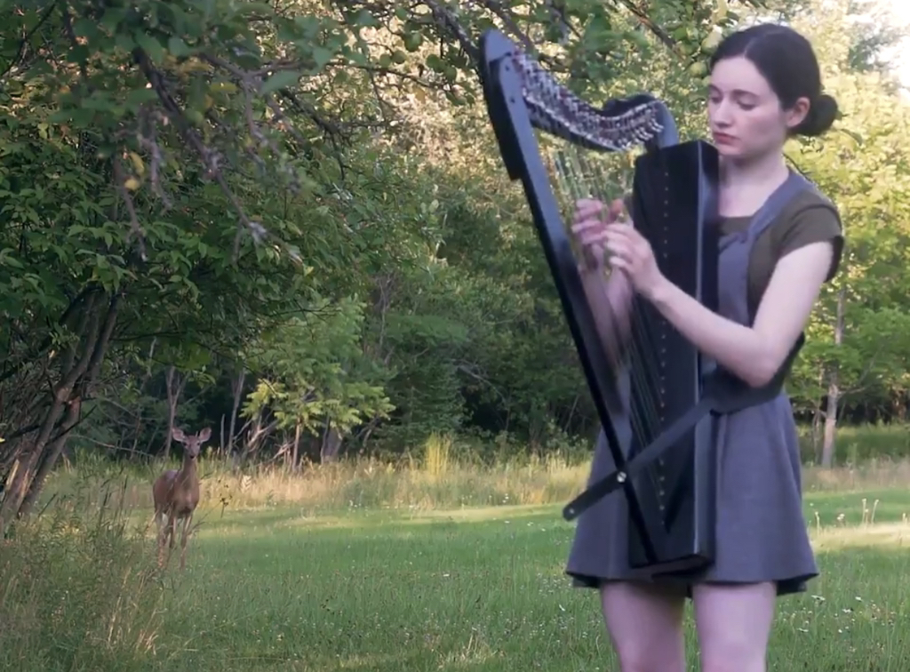 하프소리에 이끌려 찾아온 사슴 | 인스티즈