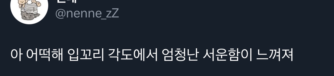 어떻게 건장한 성인여자가 고양이랑 진심으로 싸울 수 있냐 | 인스티즈