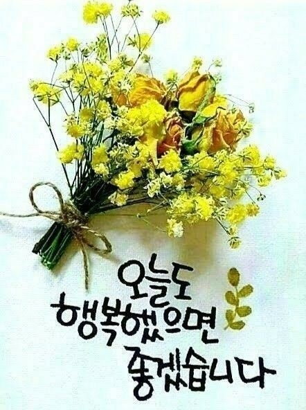 블러쉬 이미지