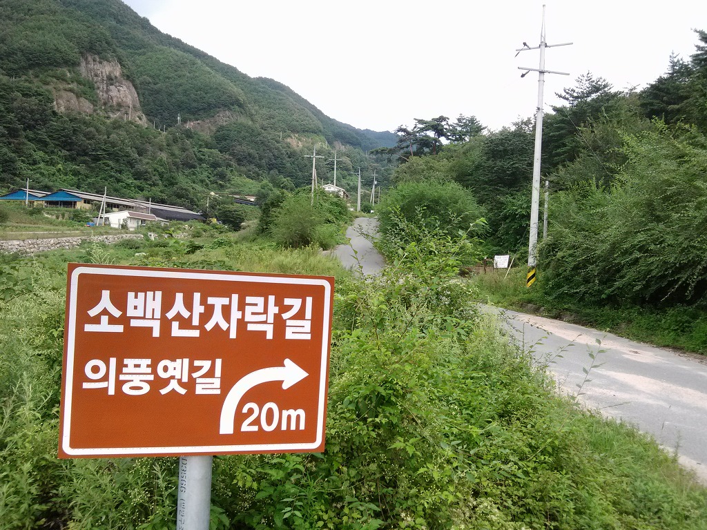 십년지기 이미지