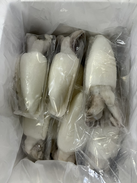 크린마켓 이미지