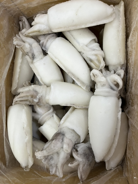 크린마켓 이미지