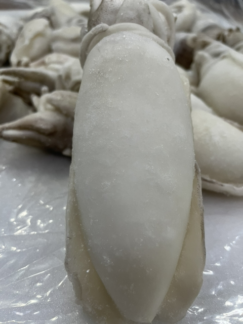 크린마켓 이미지