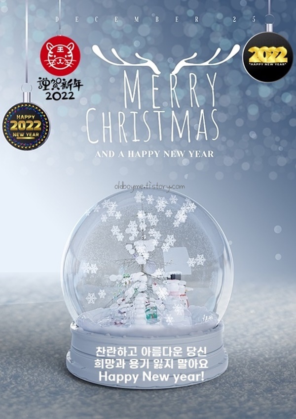 단단이네 이미지