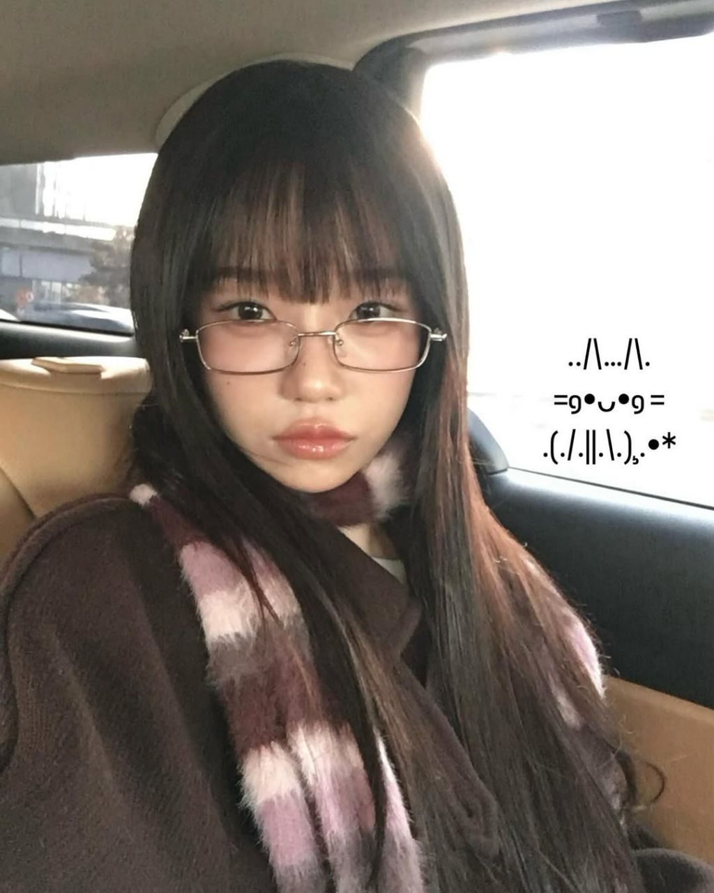 율 이미지
