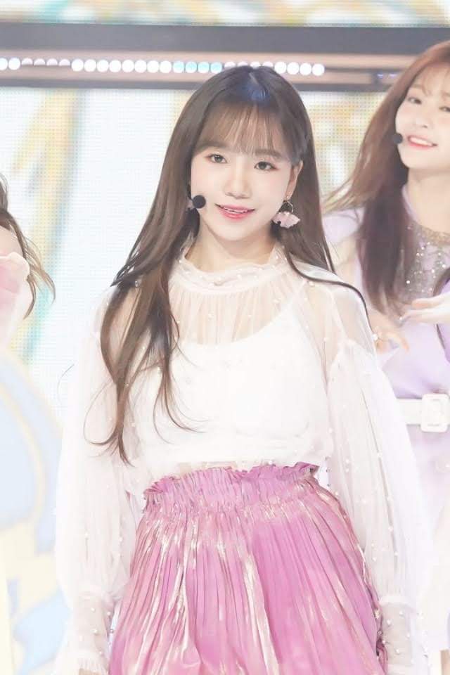 율 이미지