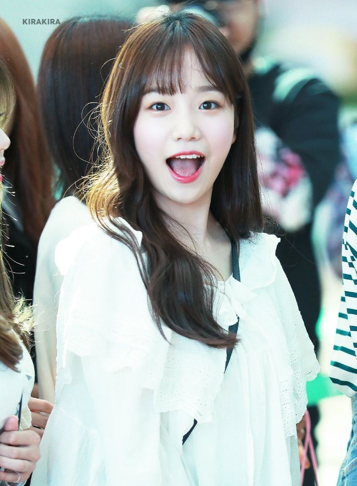 율 이미지