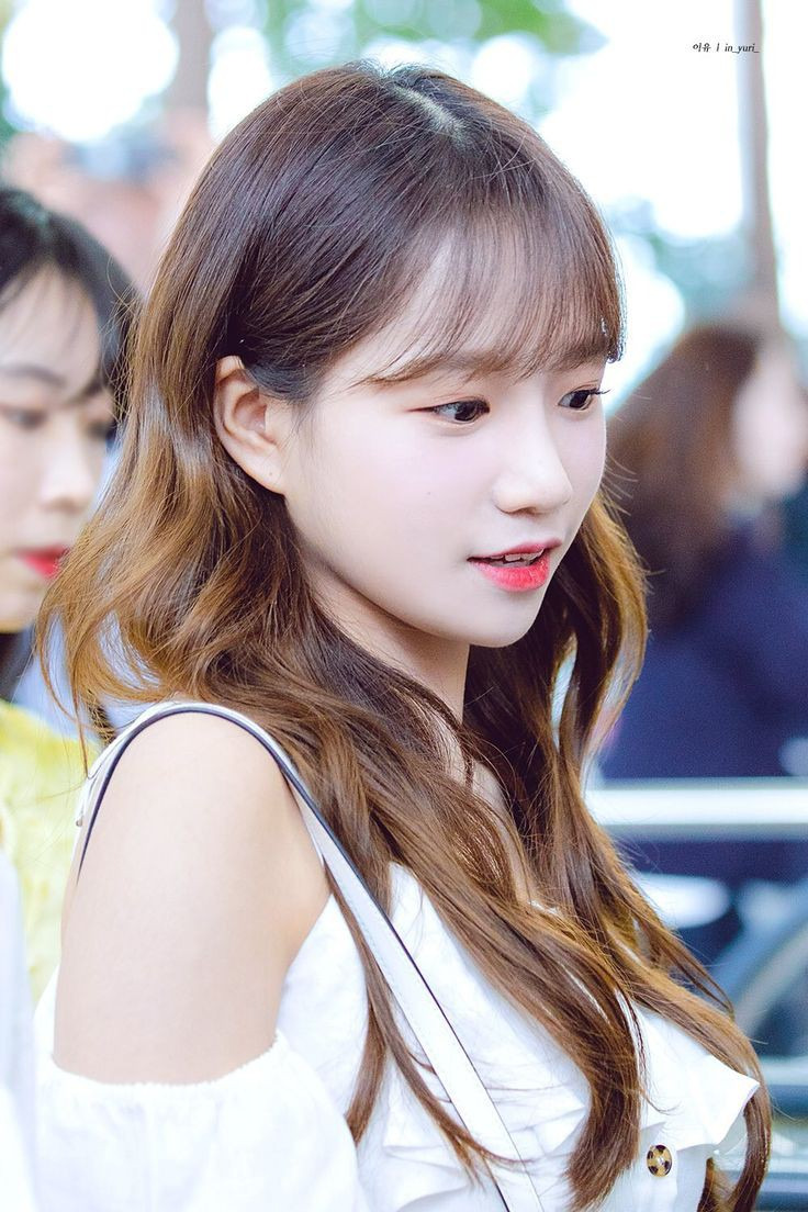 율 이미지