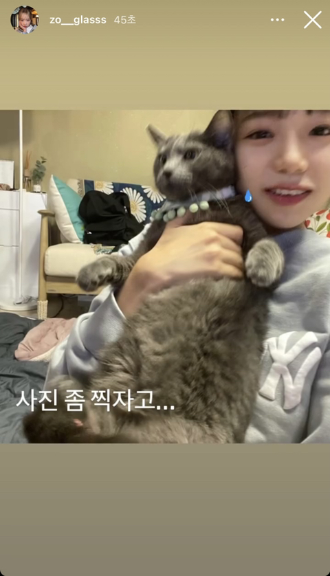 율스토리 이미지