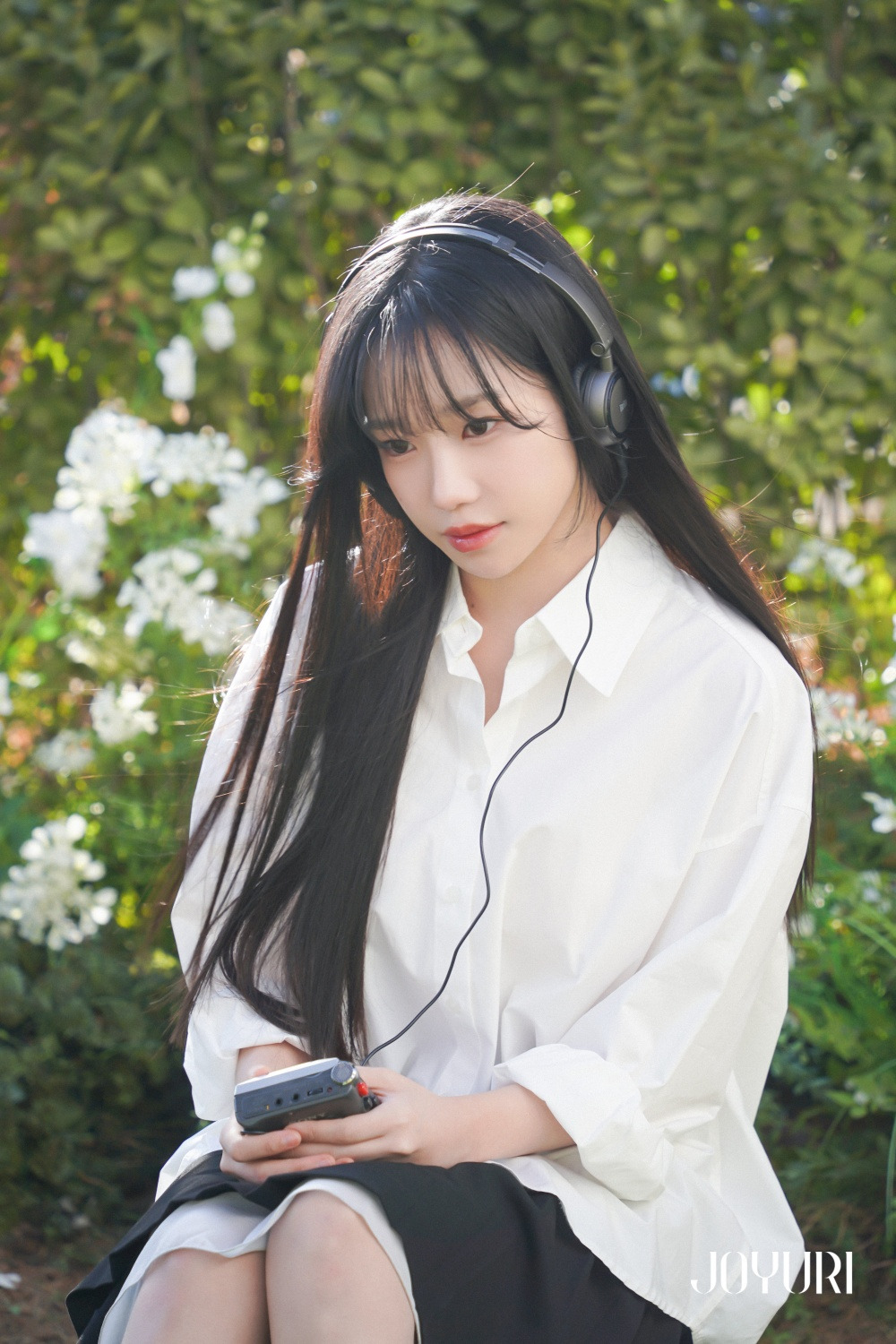 율 이미지
