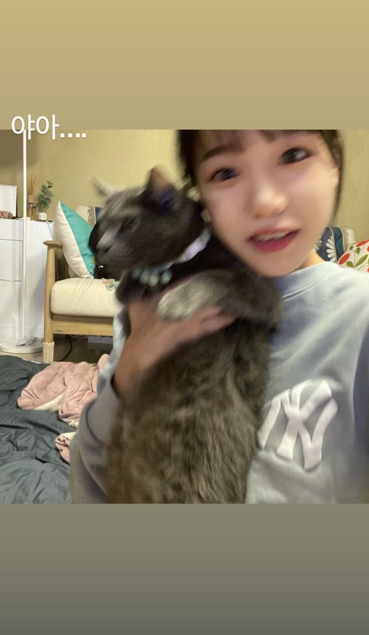 율스토리 이미지