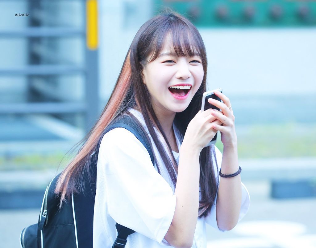 율 이미지