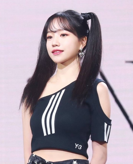 율 이미지