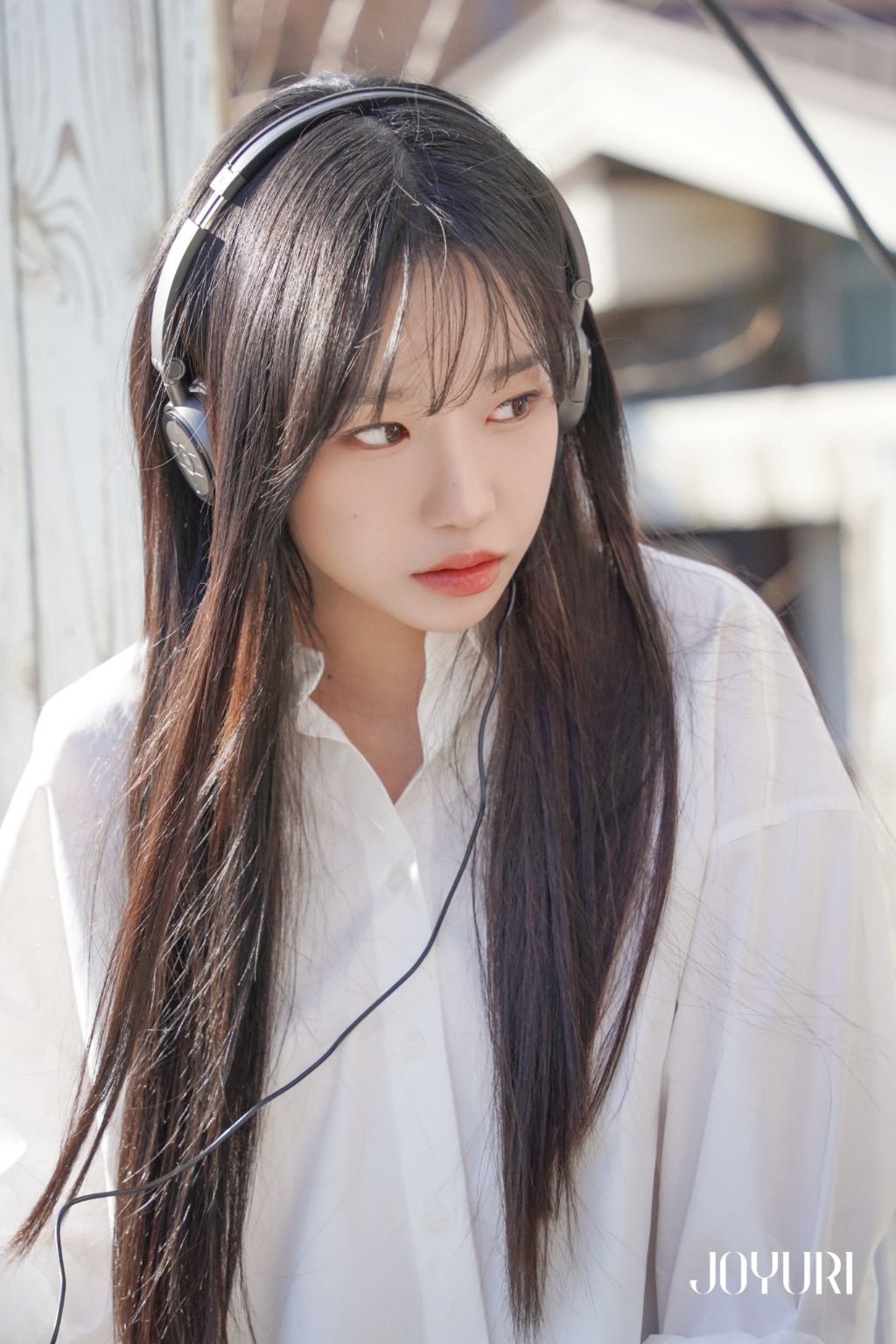 율 이미지