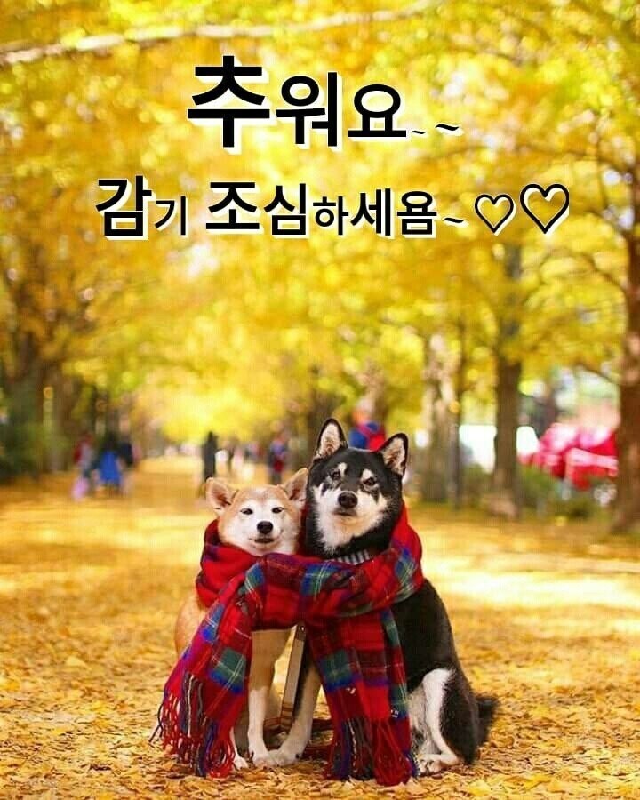 인 이미지