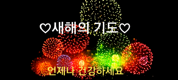 다이루세 이미지