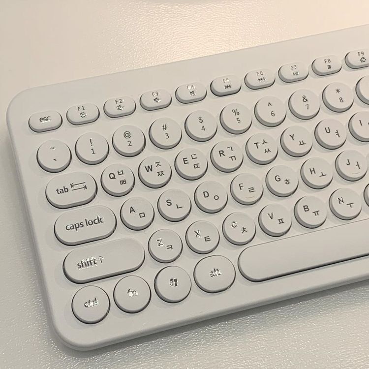 WHITE, WHITE, WHITE! | 인스티즈