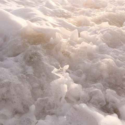 WHITE, WHITE, WHITE! | 인스티즈