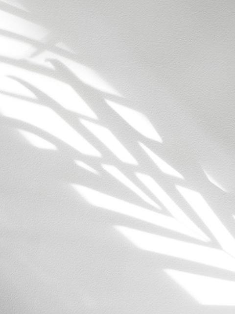 WHITE, WHITE, WHITE! | 인스티즈