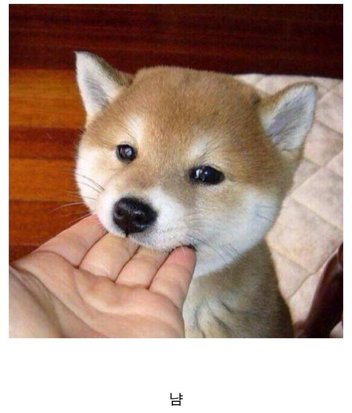 오월의햇살 이미지