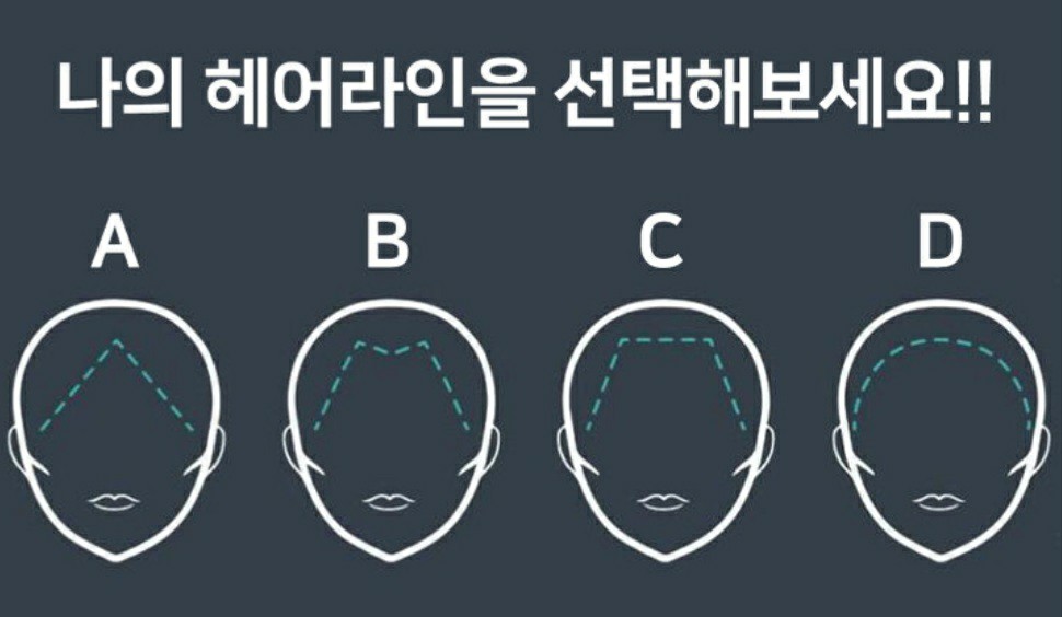 알헤어 이미지