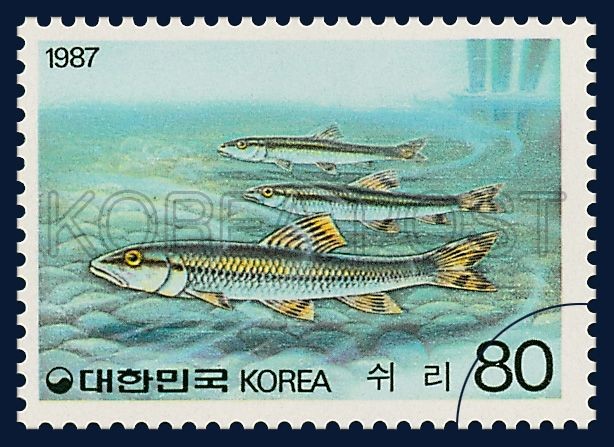 쉬리 이미지