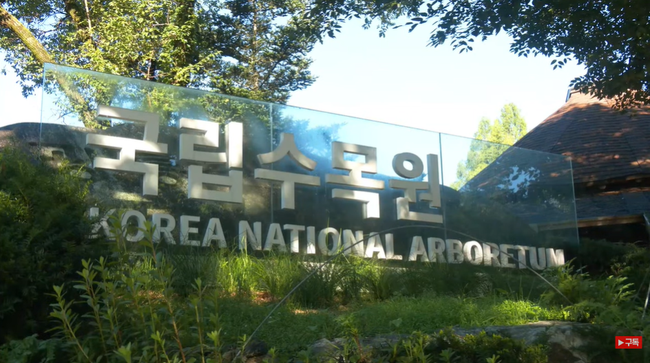 수목원전통찻집 이미지