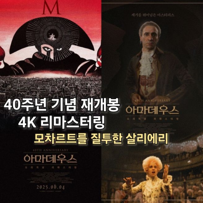 회원다실 이미지