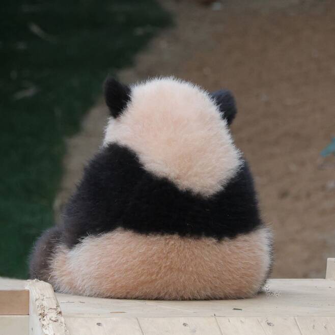 뚠뚠김밥 이미지