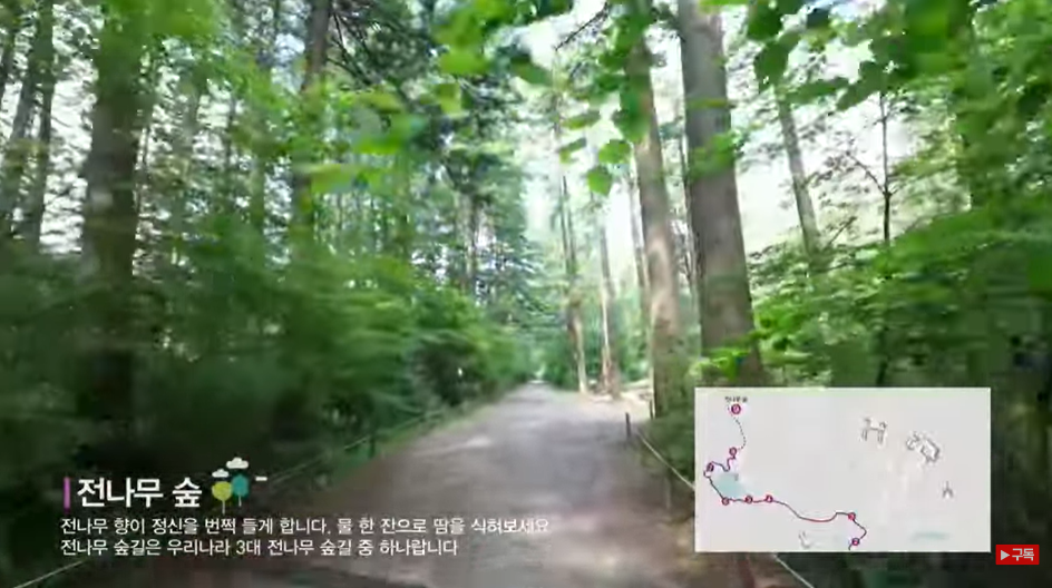 수목원전통찻집 이미지