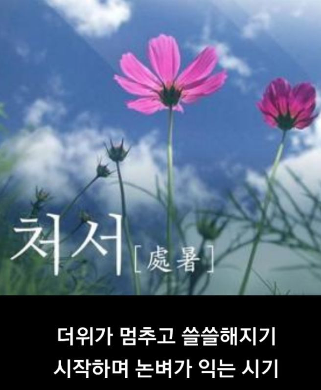 처서 이미지