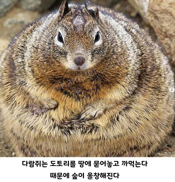TMI 이미지