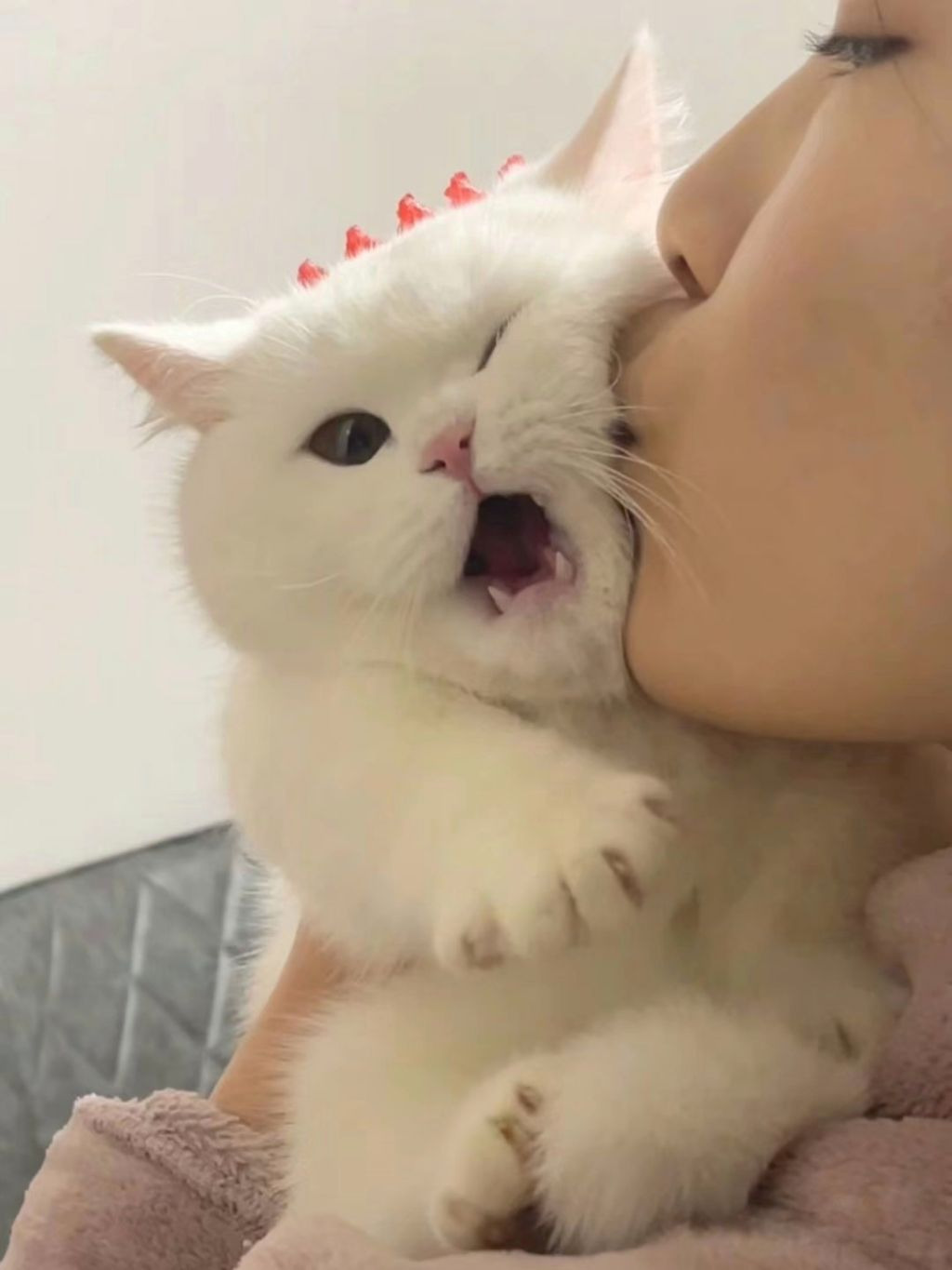 뽀뽀로야 이미지