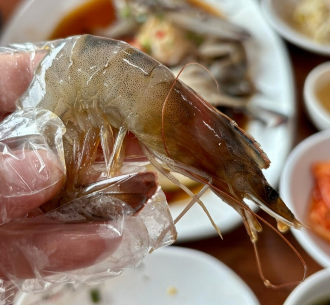 까치놀자 이미지