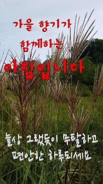 온공일 이미지