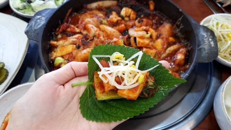 조가네갑오징어 이미지