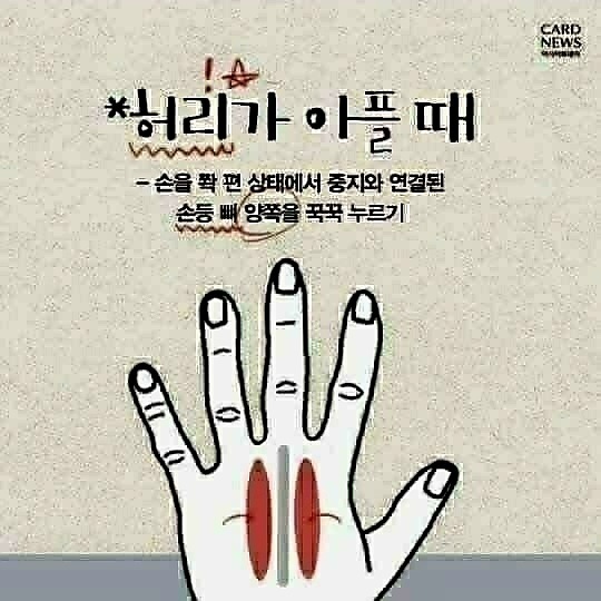 조물조물 이미지