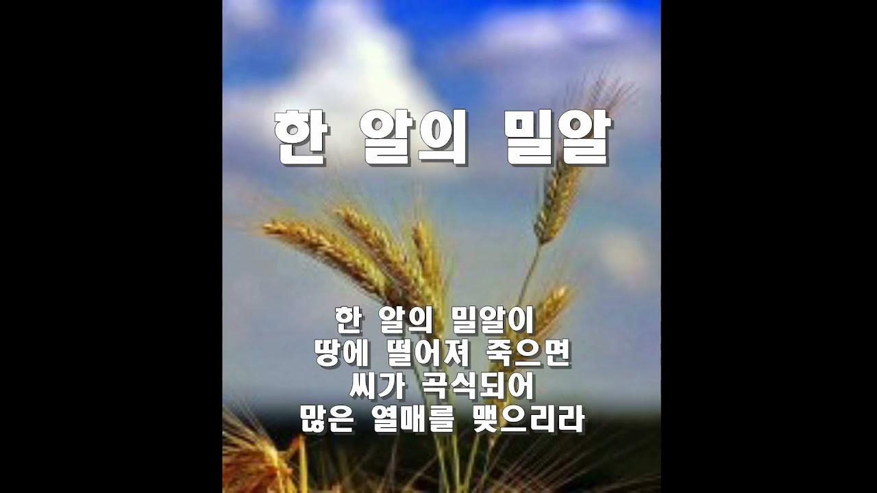 새창조 이미지