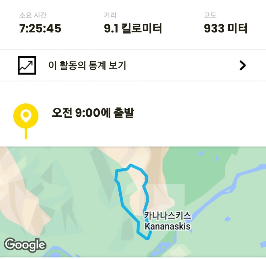 일타삼피 이미지