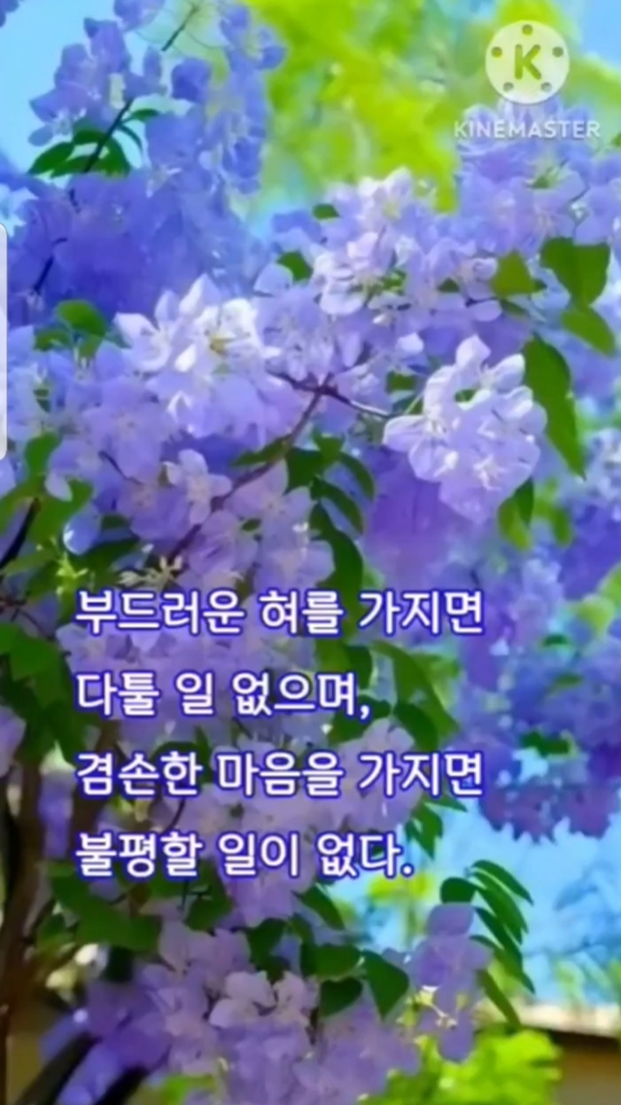 보은하다 이미지