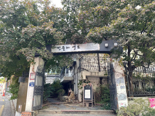 알프스1호카페 이미지