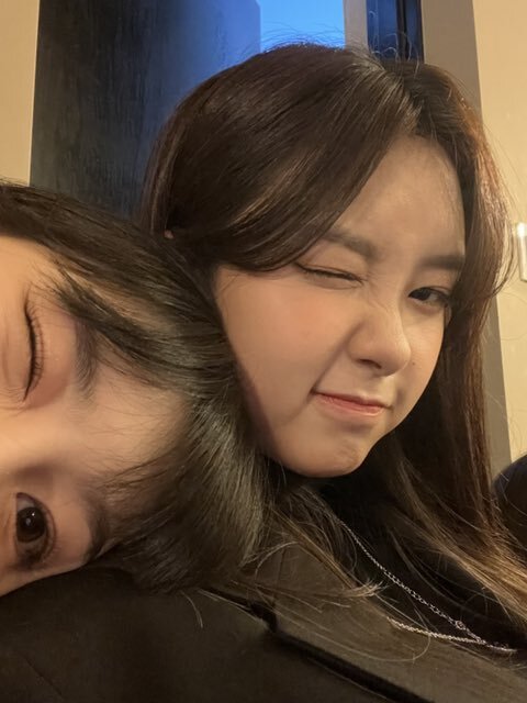 채다 이미지