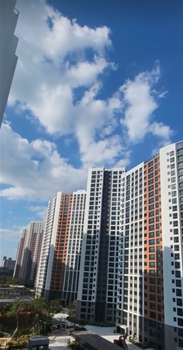 더체크프라임 이미지