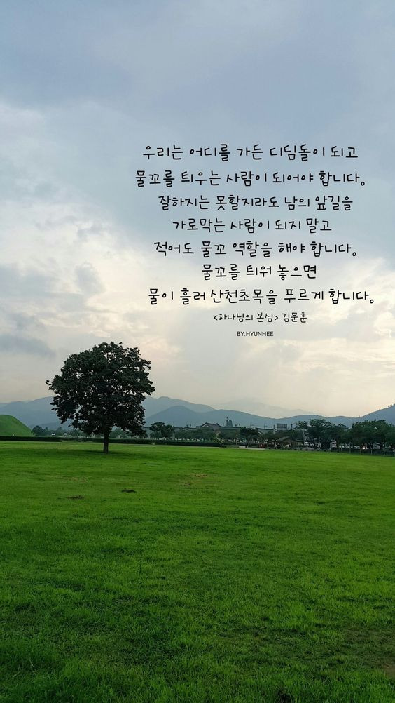 디딤돌 이미지